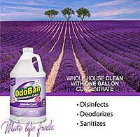 OdoBan Disinfectant Concentrate and Odor Eliminator, 1 Gallon, Lavender Scent