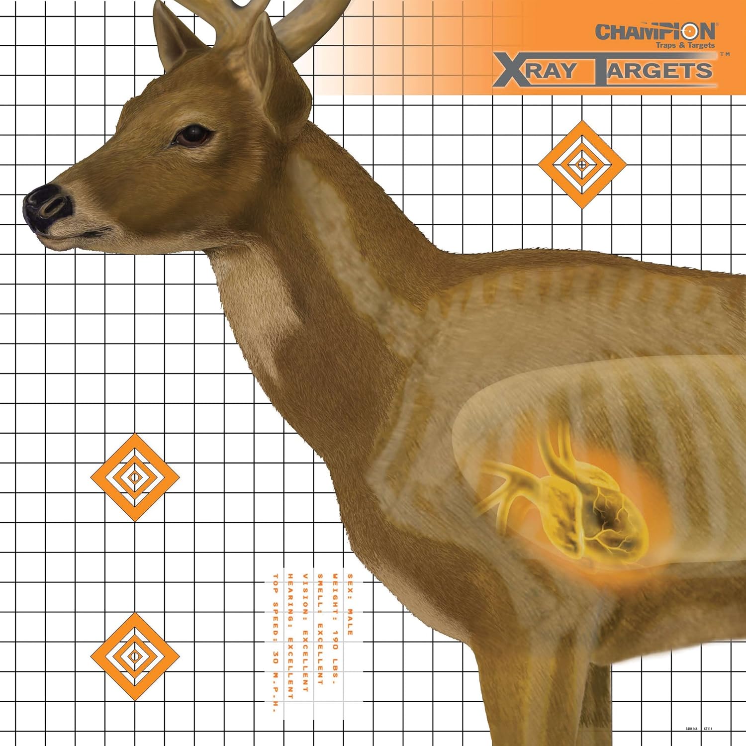 CHAMPION Paper Targets for Shooting and Hunting