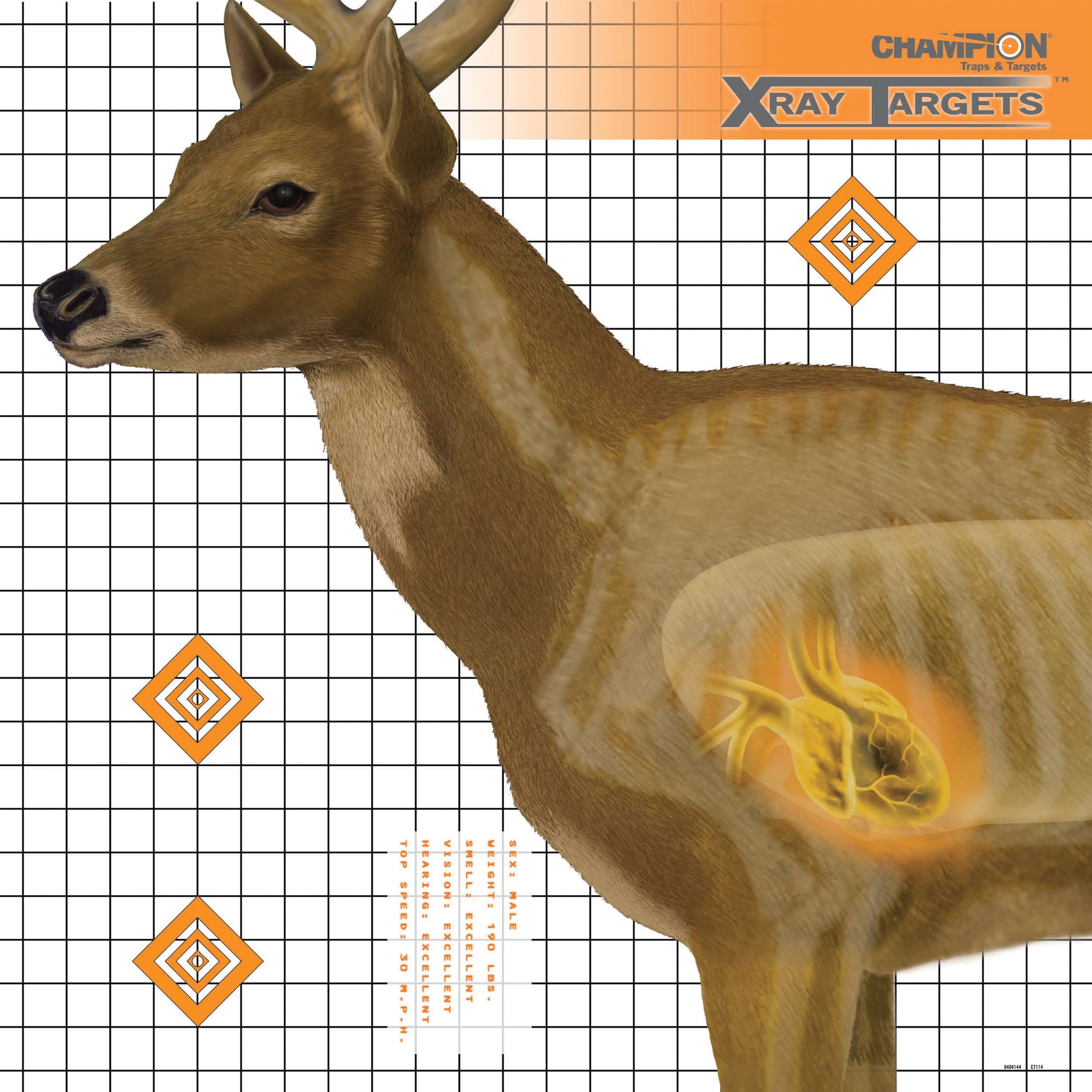 CHAMPION Paper Targets for Shooting and Hunting
