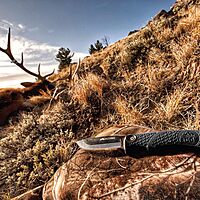 OUTDOOR EDGE RazorMax Replaceable Fixed Blade Hunting Knife with Drop-Point & Boning/Fillet Blades