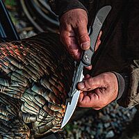 OUTDOOR EDGE RazorBone Replaceable Blade Folding Hunting Knife Kit, 6-Blade Combo