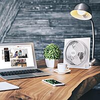 BLACK+DECKER Portable Indoor Fans, 3-Speed Tabletop & Floor