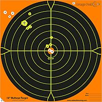 CALDWELL Orange Peel Bullseye Targets with Flake Off Material and Strong Adhesive
