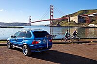 ROLA 59401 TX Hitch Mount 4-Bike Carrier with Tilt & Security