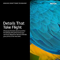 XEROX Genuine Toner Cartridge for C230/C235 Printers