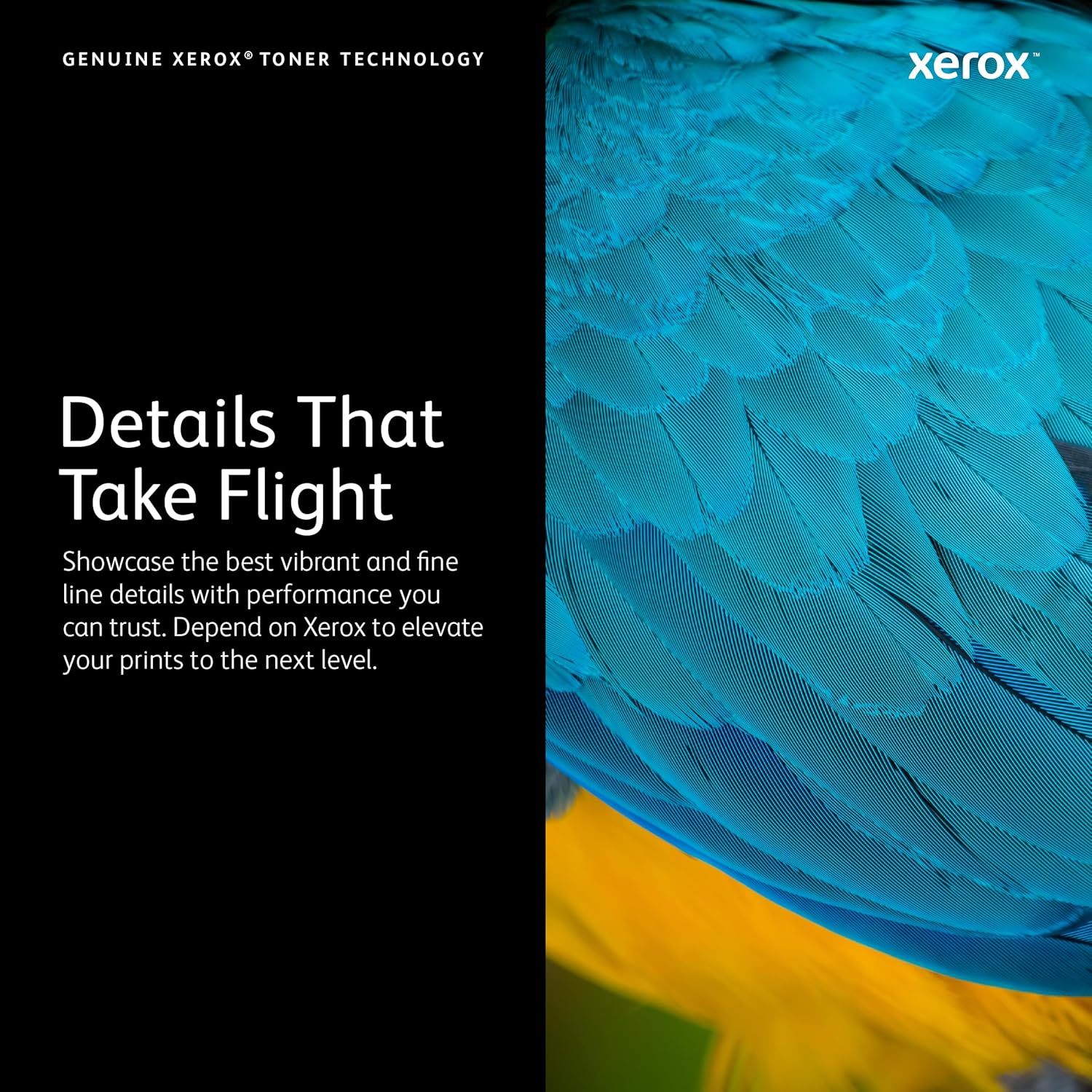 Xerox Genuine VersaLink C400/C405 Toner Cartridges