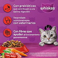 Whiskas - Whiskas Whiskas alimento para Gatos Adultos Sabor Carne Receta Orginal 9Kg Violeta