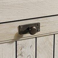 Sauder Costa 2 Drawer Lateral File Cabinet with Lock for Home Office, in Chalked Chestnut