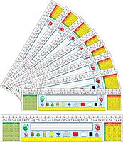 CARSON DELLOSA EDUCATION Traditional Manuscript Desk Name Plates