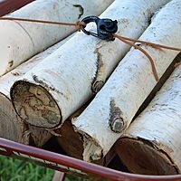 Nite Ize CamJam Cord/Rope Tightener with Carabiner Clip