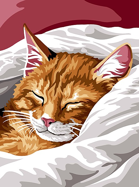 Il riposo del mio gatto