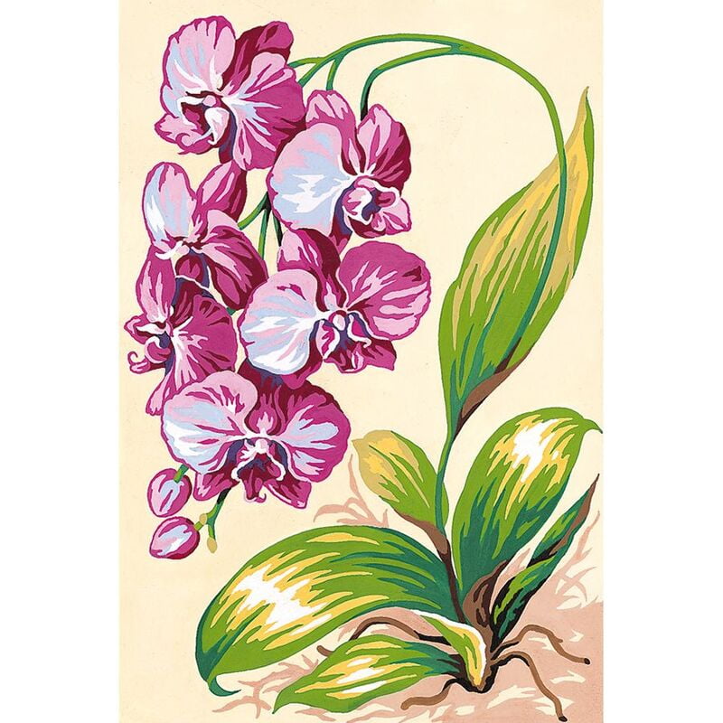 Orchidee meravigliose, 7466
