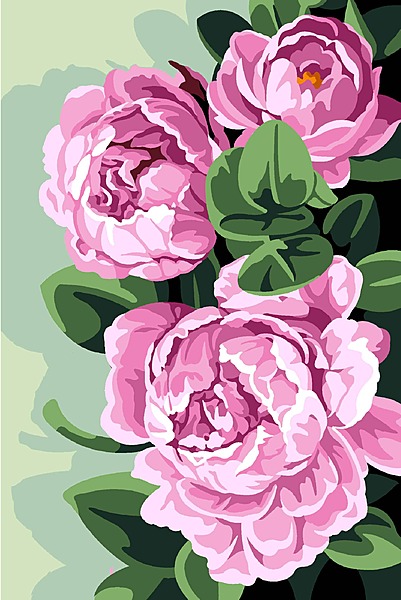 Bouquet di Peonie Rosa