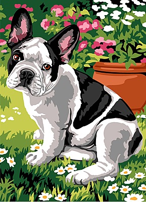 Bulldog Francese in Giardino