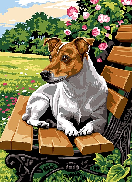 Jack Russell sulla Panchina
