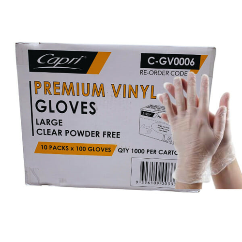 Powder Free Clear Vinyl Gloves Large Carton 1,000