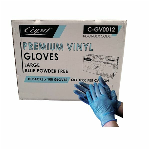 Powder Free Blue Vinyl Gloves Large Carton 1,000