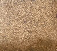 Sivan Samba hand prosesed 1 KG | சிவன் சம்பா கைக்குத்தல் 1 KG