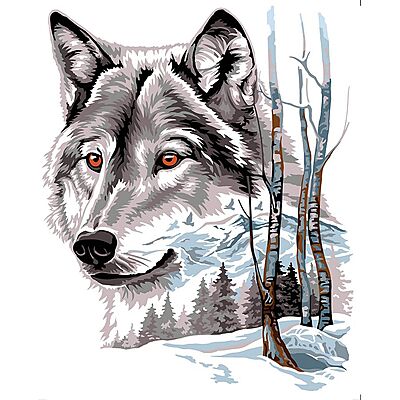 Spirito della Foresta - Il Lupo Artico