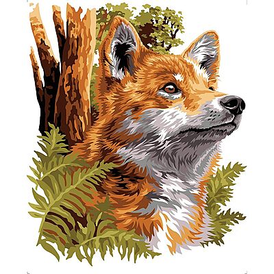 Volpe Rossa - Guardiana del Sottobosco