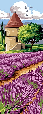 Campi di Lavanda in Provenza Campi di Lavanda in Provenza