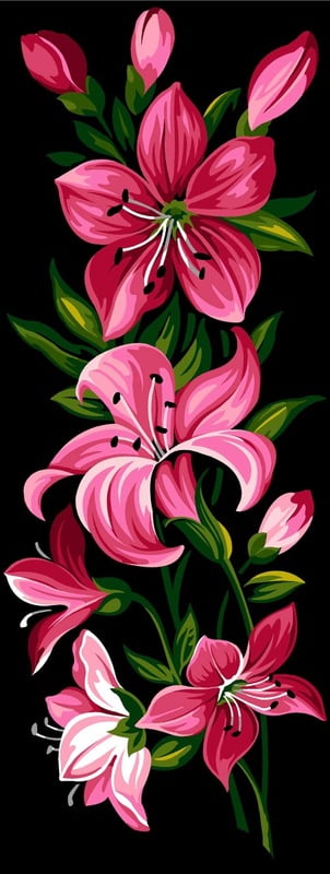 Lilium in Rosa Lilium in Rosa