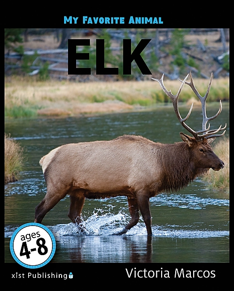 My Favorite Animal: Elk