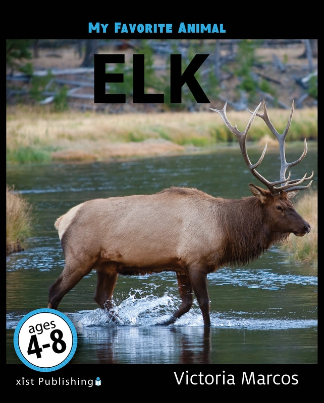 My Favorite Animal: Elk