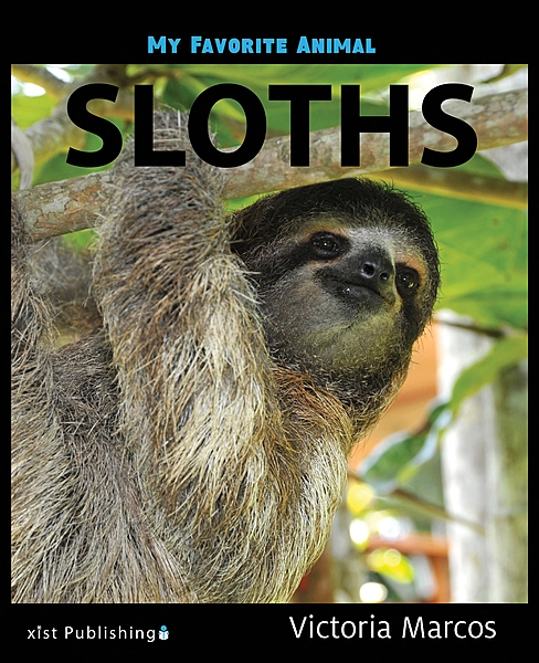 My Favorite Animal: Sloths