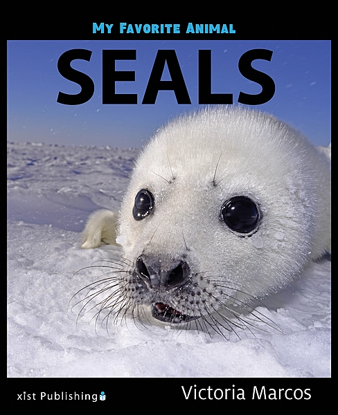 My Favorite Animal: Seals