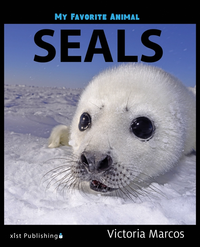 My Favorite Animal: Seals
