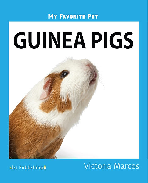 My Favorite Pet: Guinea Pigs