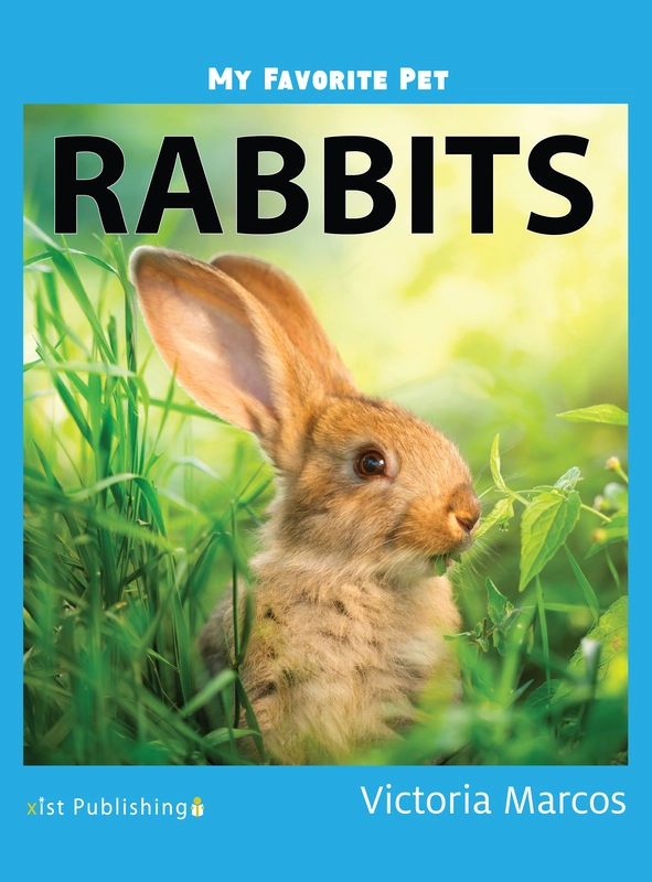 My Favorite Pet: Rabbits