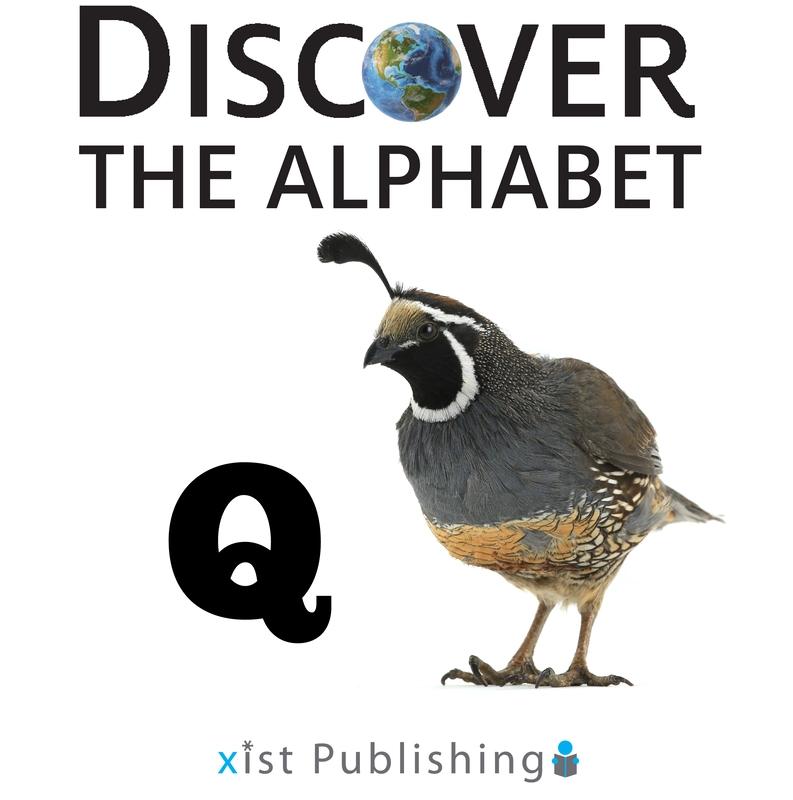 Q