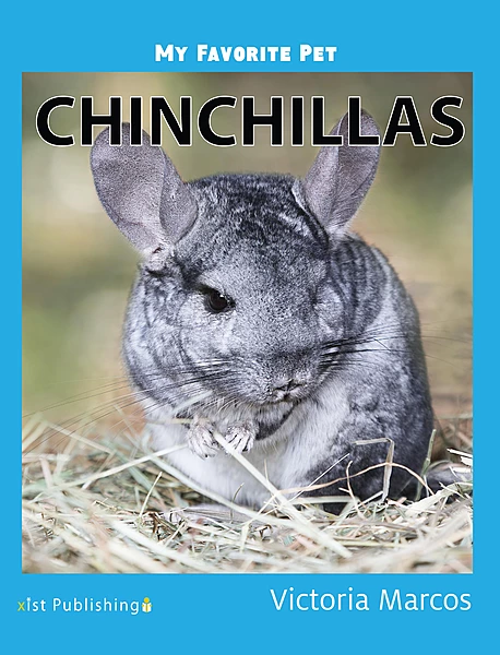 My Favorite Pet: Chinchillas