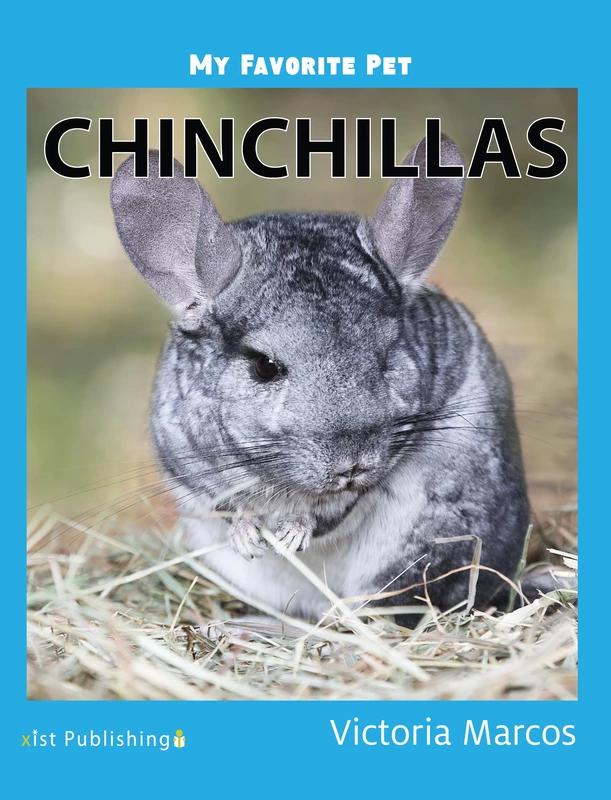 My Favorite Pet: Chinchillas