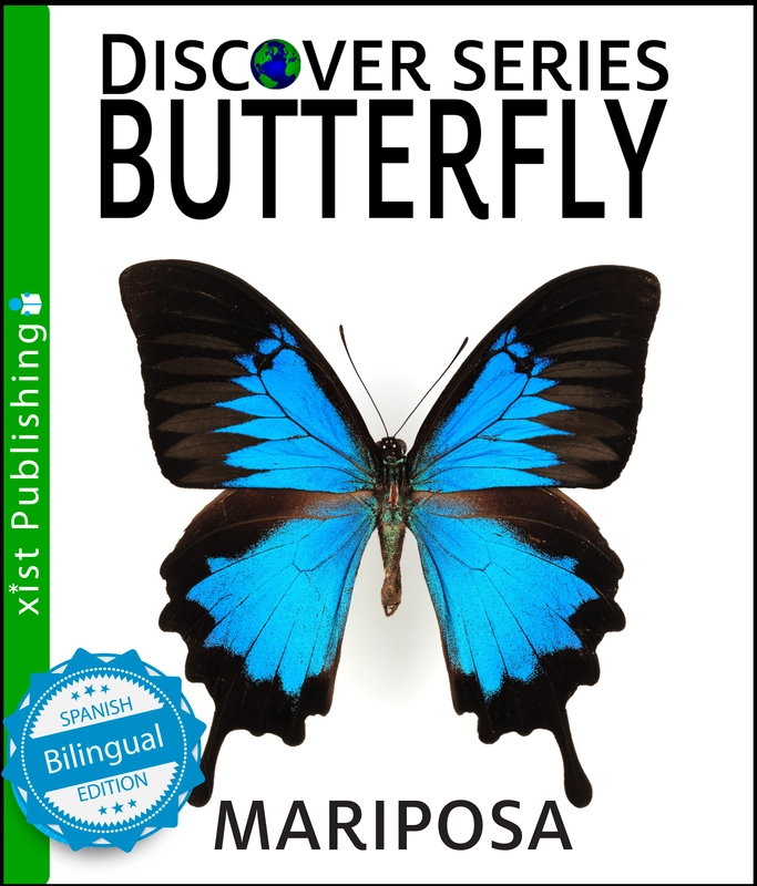 Butterfly / Mariposa