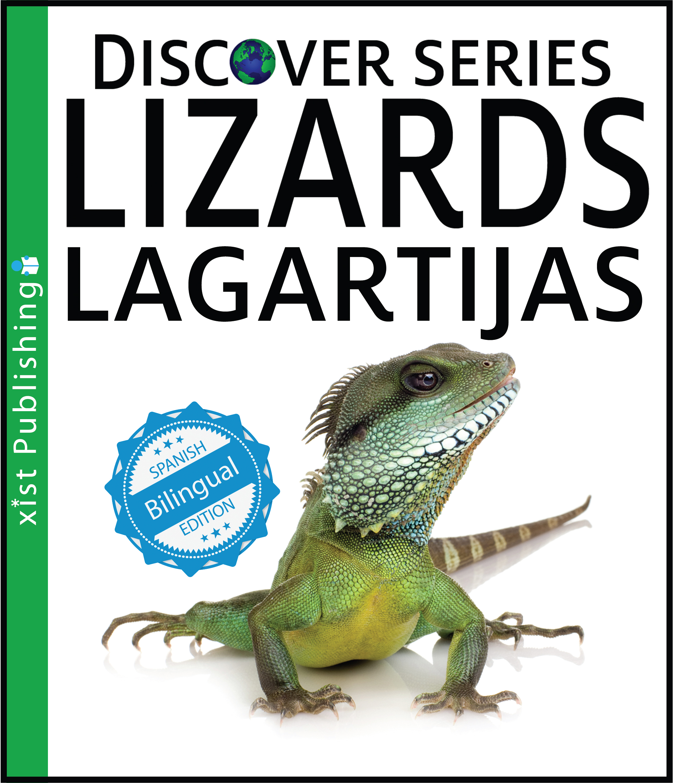 Lizards / Lagartijas