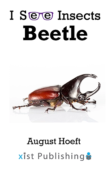 Beetle