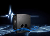 ToneWinner dual 15 inch DSP powered subwoofer