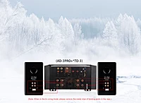 Tonewinner AD-3PRO+ High Power Integrated Amplifier