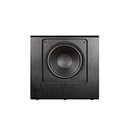 ToneWinner dual 15 inch DSP powered subwoofer