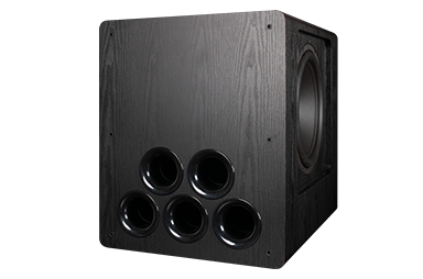 ToneWinner dual 15 inch DSP powered subwoofer