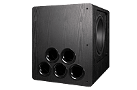 ToneWinner dual 15 inch DSP powered subwoofer