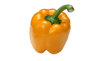 Yellow Bell Pepper