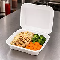 9x9 Foam Tray No Div P.F 2/100
