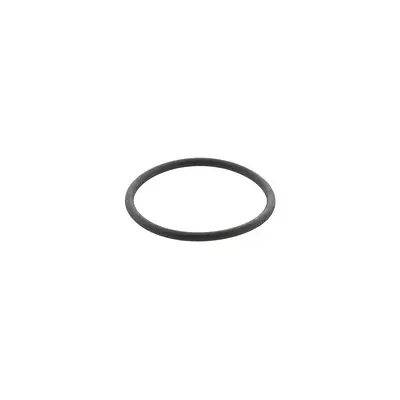 O-RING (BLUE RING)