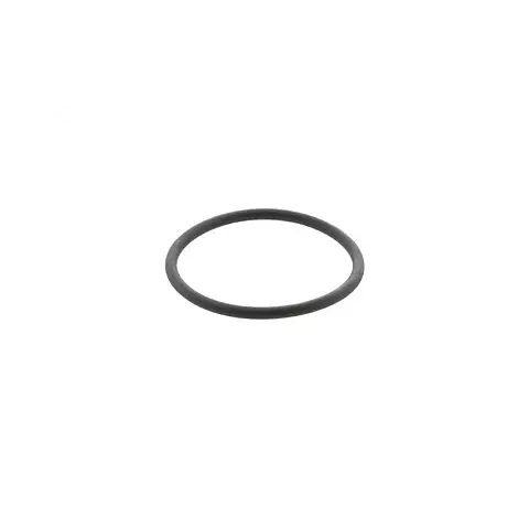 O-RING (BLUE RING)