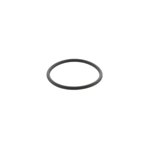 O-RING (BLUE RING)