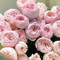 11 Mansfield Park Peony Rose Bouquet